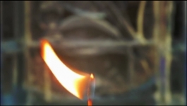 Parul - 1st July 2025